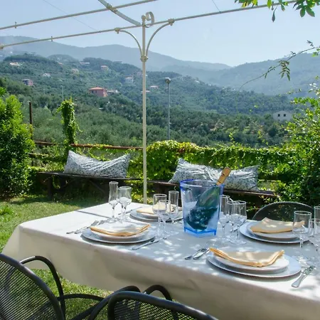 Villarosa Lavagna